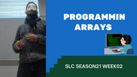 Programming Arrays