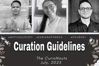 Curation Guidelines
