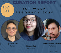 Curation Report