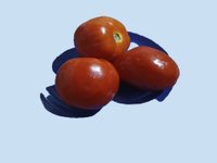 tomates .jpg