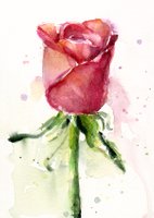 Rose-watercolor-painting-olechkadesign.jpg