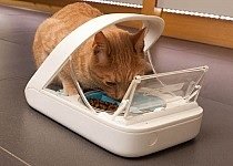 Microchip Pet Feeder