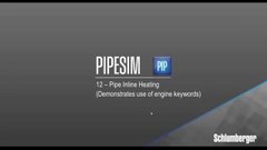 Schlumberger PIPESIM