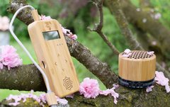 Bamboo