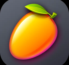Mango VPN