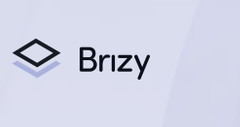 Brizy