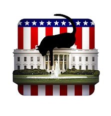 House of Cats
