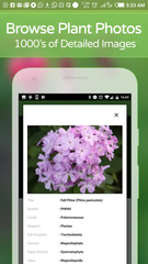 PlantSnap