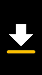 video downloader