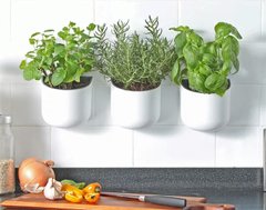 The Eden Suction Planter