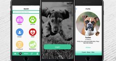 the global dog