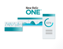 NEW RELIC ONE