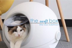 Swoft