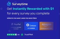 Surveytime