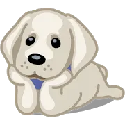 Pets Adoption