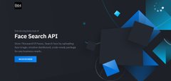 Face Search API