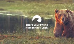 Numbear