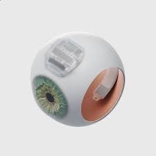 Science Eye