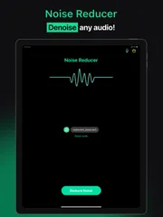 Noise Reducer