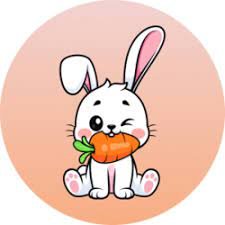 Rabbit INU