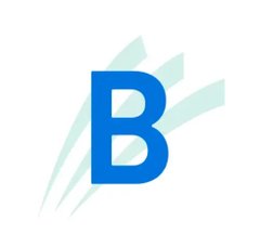 Bonanza Wealth