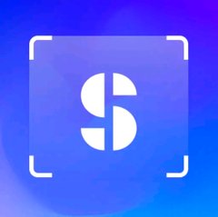 ScanSolve