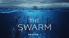 theswarm