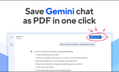 Gemini to PDF
