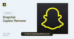 SnapCaptionRemover