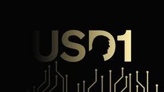 Launch On USD1