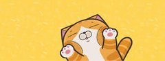 LanLan Cat