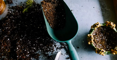 UrboGrow