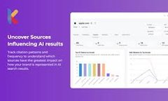 AI Visibility Rank Tracker