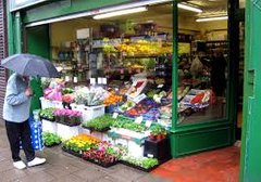 Green Vegetable Store