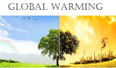 Warm Blog