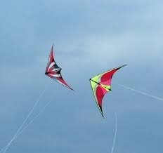 Kite