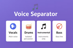 Voice Separator