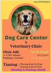 Veterinary Dogcare