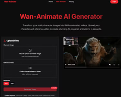 Wan Animate