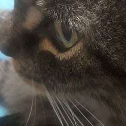 What Could Keep His Focus So Intense