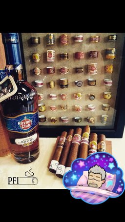 Cigar trophy case