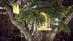 Finally snow brought some visitors to the birdhouse 🏠🐦