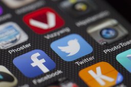 What’s Next for Elon Musk, CEOs, and Social Networks?