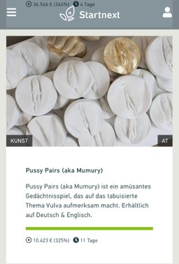 Pussy Pairs - Startnext finanziertes Vulva Memoire