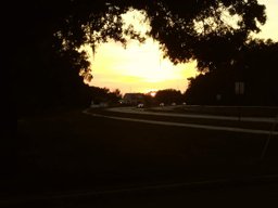 Tampa Sunset (LG K20 Plus vers.)