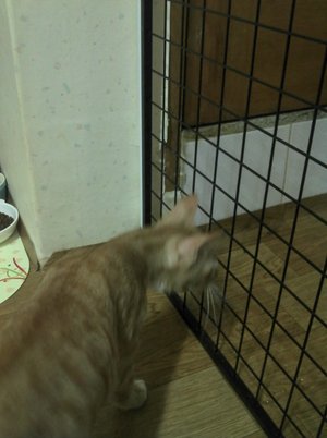 2012-06-30 13.15.32.jpg