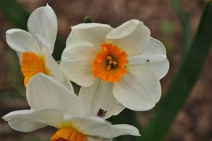 FA3FBEAF-F896-4EEA-9DB9-675A950BDC15 (1).jpg