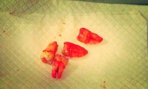 IMG_20161111_103905.jpg