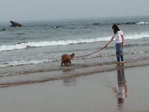 [중국생활] 오랜만에 외출!! 청도 바닷소리 들려드립니다.