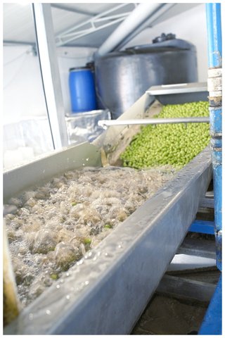 02 machinery_wash.jpg